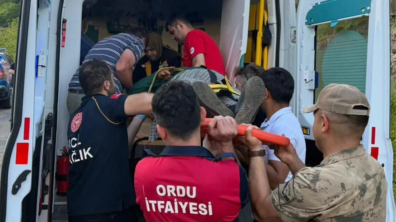 Ordu’da korkutan kaza: Minibüs uçuruma devrildi, 9 yaralı