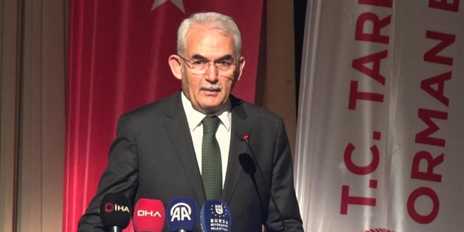 Orman Genel Müdürü Karacabey: Yangınların büyük bölümü insan kaynaklı çıkıyor