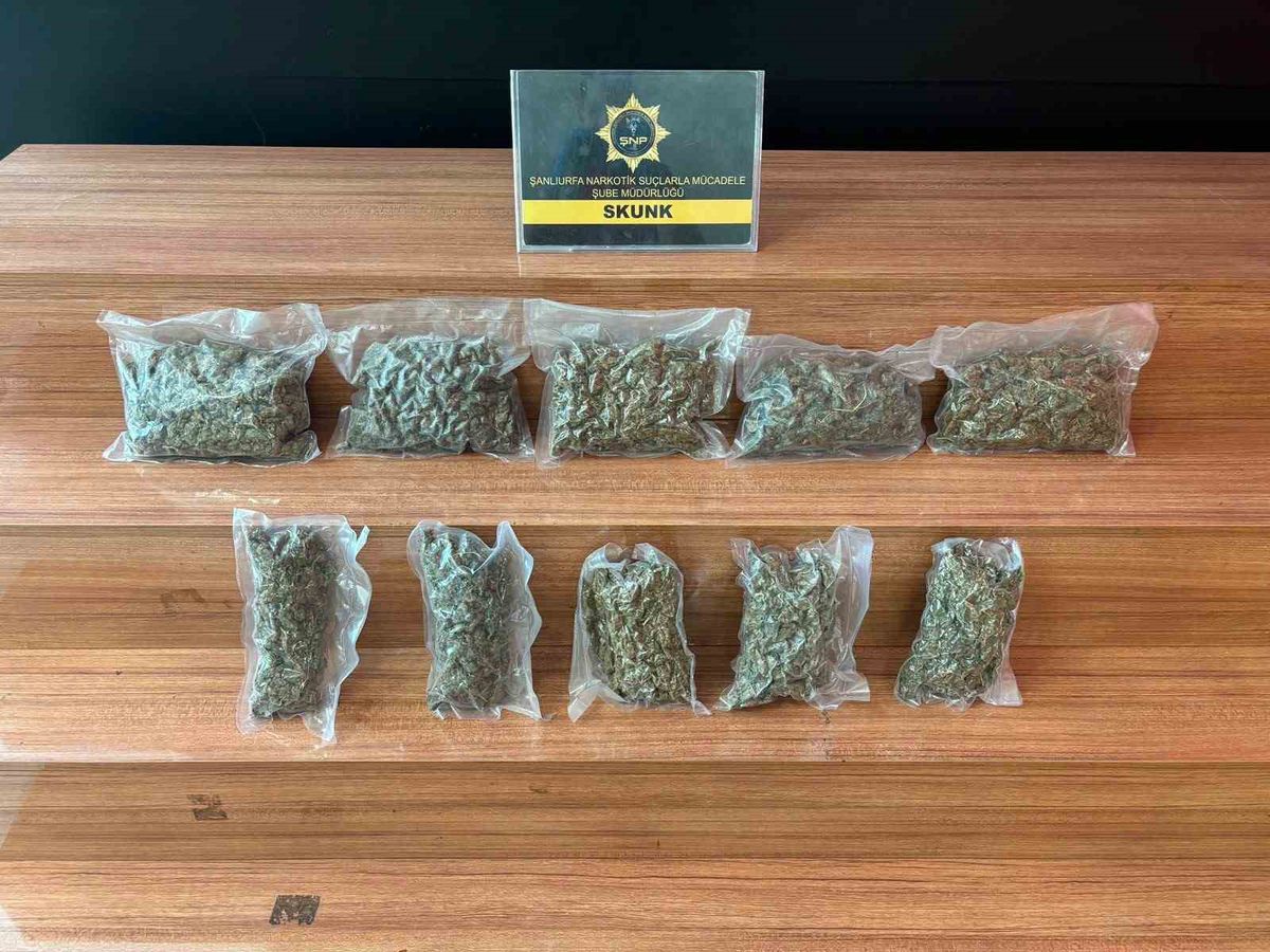 Şanlıurfa'da 2.6 kg skunk ele geçirildi: 1 tutuklama