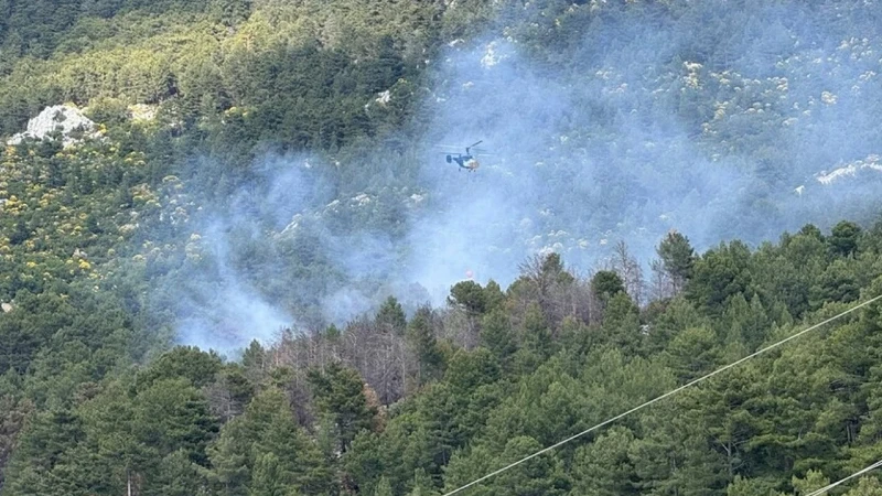 Kaş ilçesinde ormanlık alanda yangın çıktı