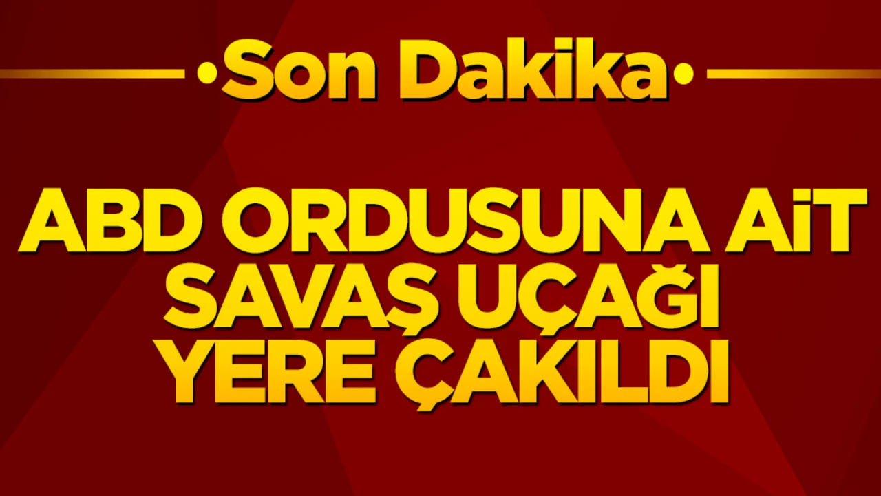 ABD ordusuna ait uçak yere çakıldı