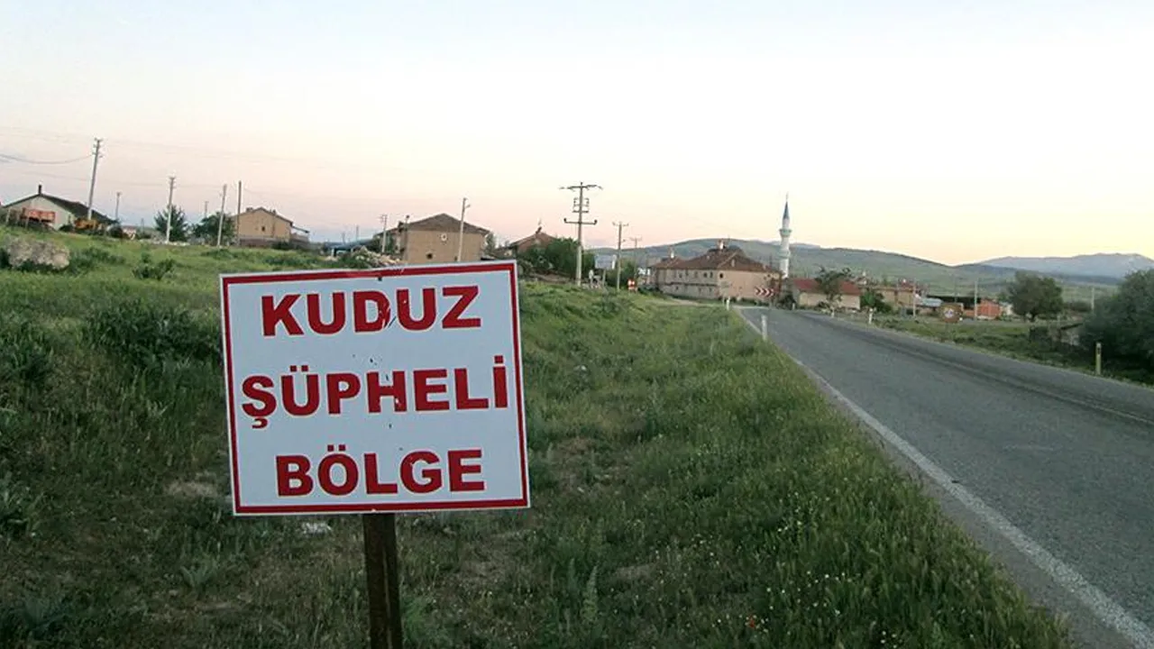Kuduz tespit edildi, harekete geçildi! 7 mahalle karantinada