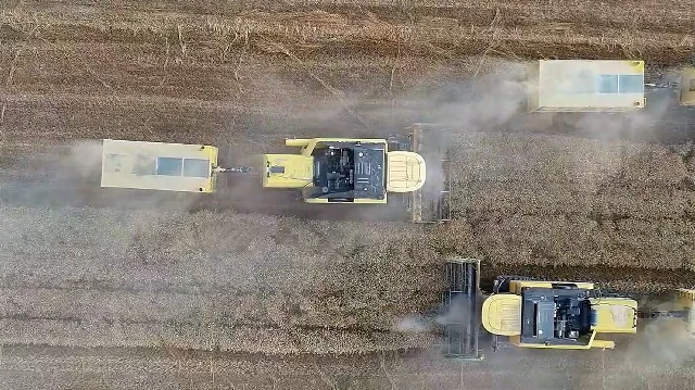 Güneydoğu'da hasat mesaisi başladı: Biçerdöverler tarlalara indi