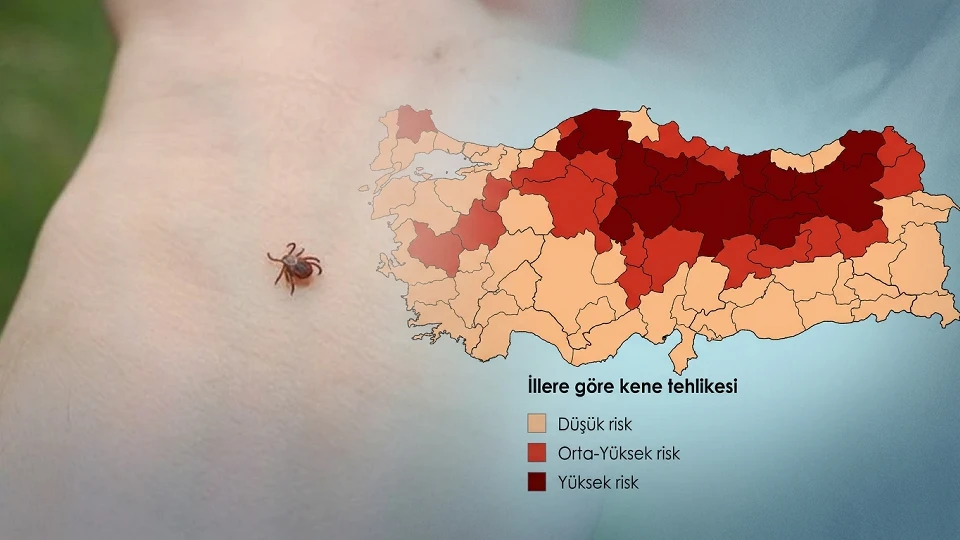 Kene vakaları arttı mı? En çok hangi illerde görülüyor, keneden nasıl korunulur? Bakanlıktan uyarı geldi: Türkiye Kene Risk Haritası 2026