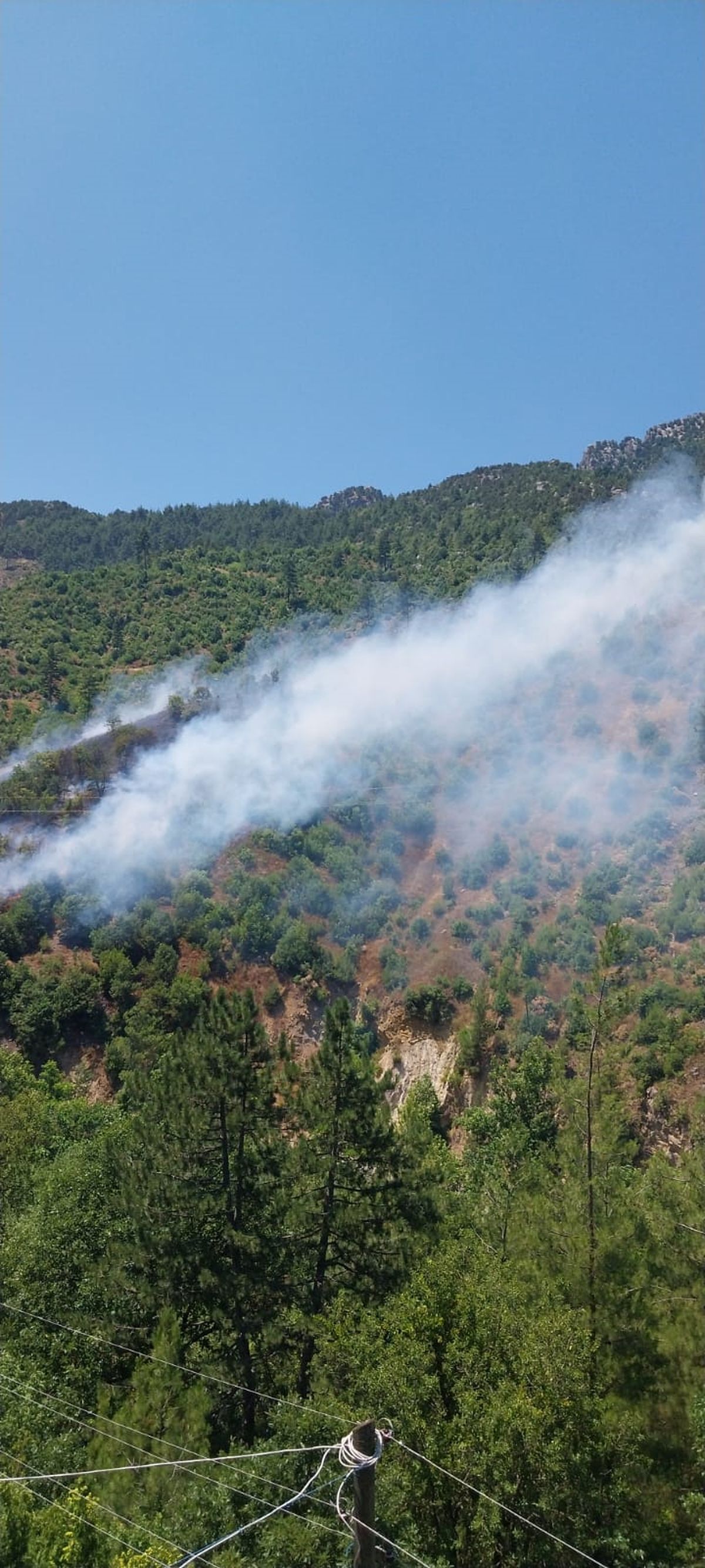 Adana'da orman yangını