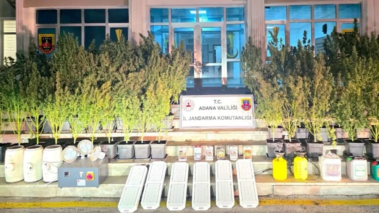 45 ilde dev narko operasyon: 352 kişi yakalandı, tek tek delillendirildi...