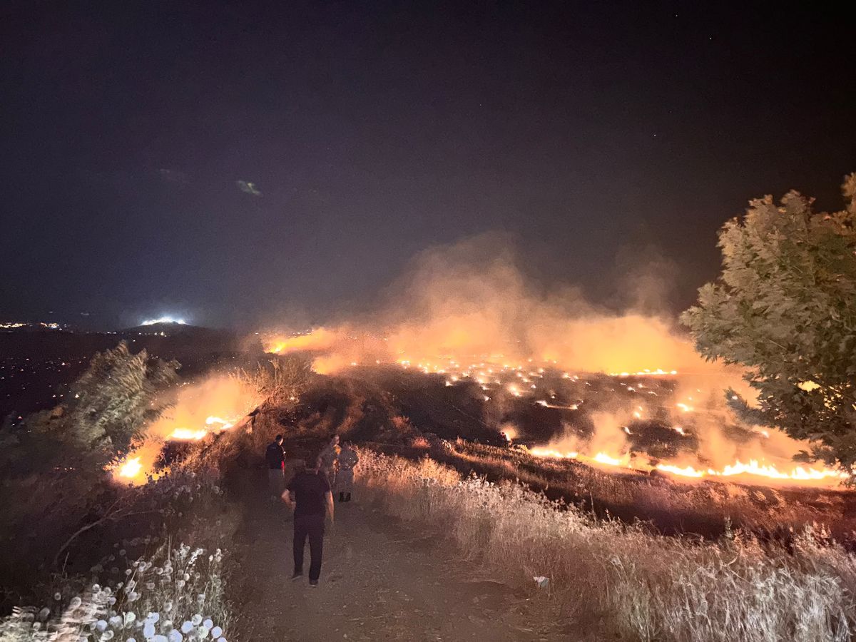 Hatay'da anız yangını, zeytin bahçelerine zarar verdi