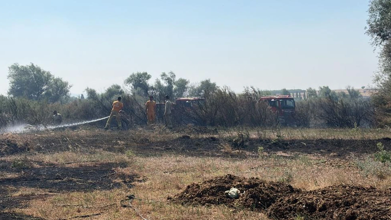 Balıkesir'de iki ayrı ilçede arazi yangını