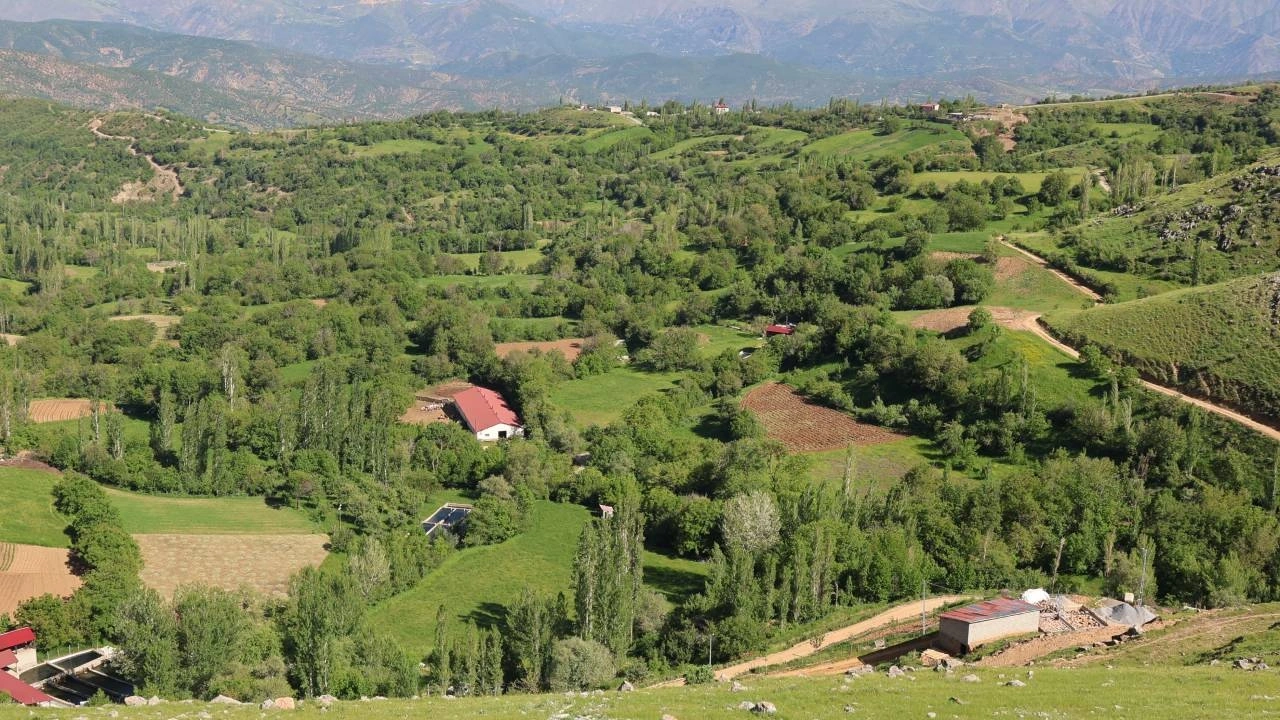 Bitlis'in saklı cennetine akın akın geliyorlar! Her yerde onlardan var