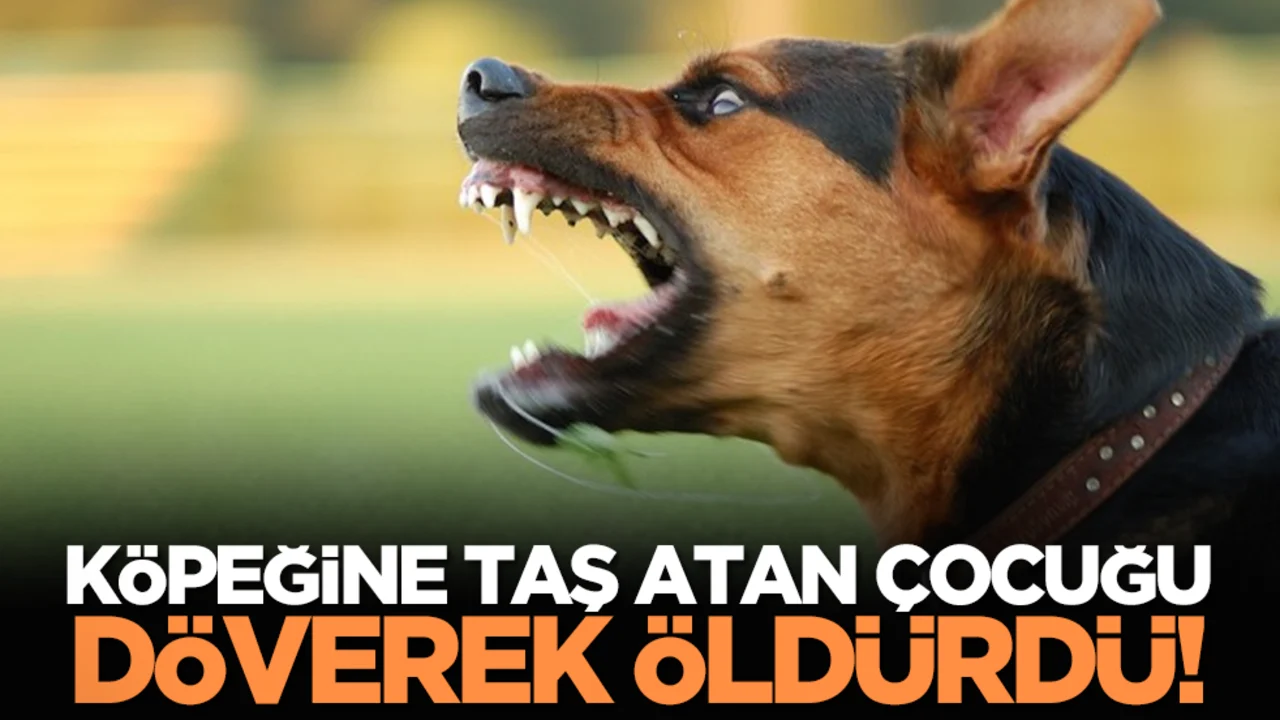 İttapar terörü! Köpeğine Taş Atan Çocuğu Döverek Öldürdü!