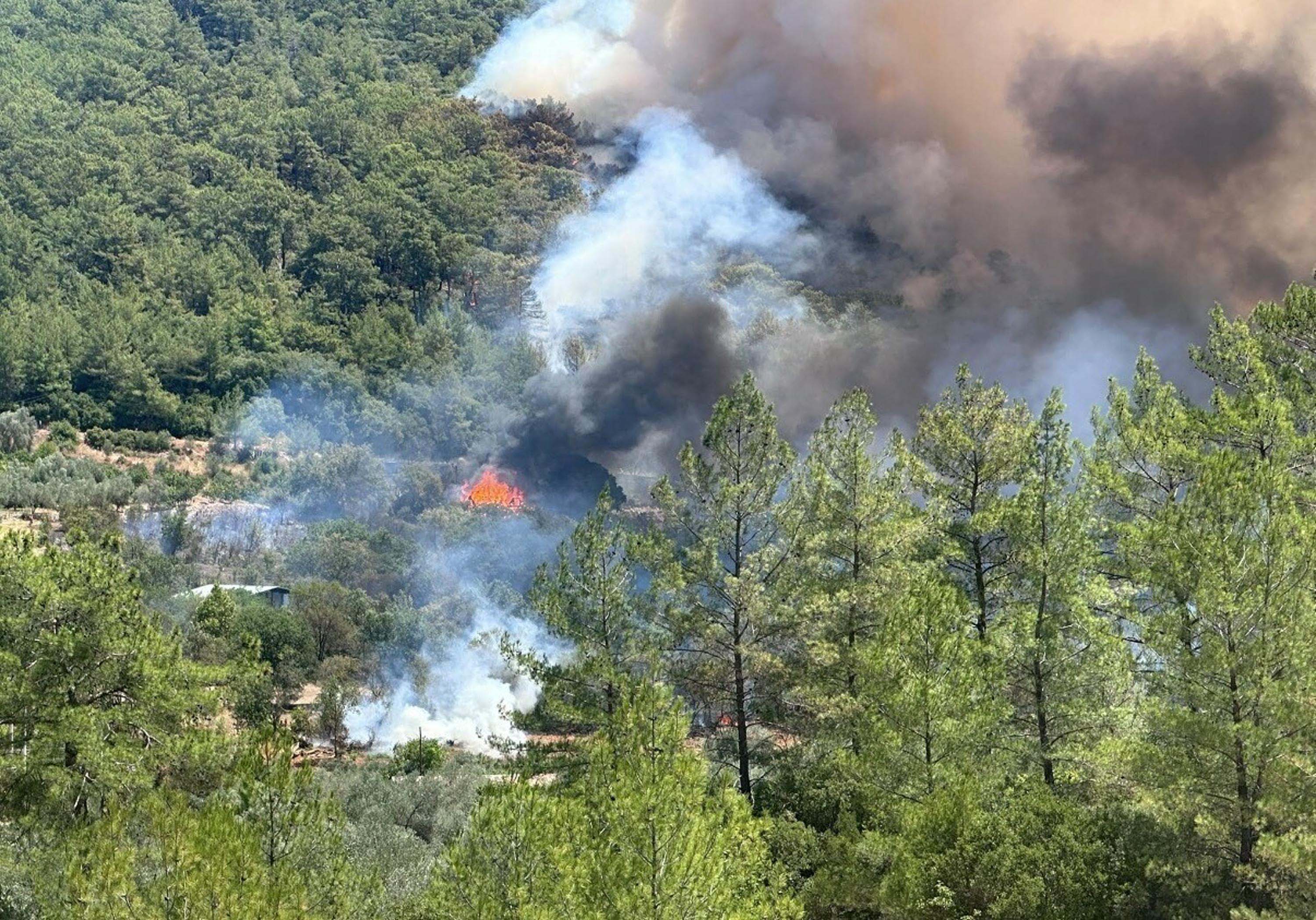 Muğla ve Antalya'da orman yangını. Ekipler sevk edildi