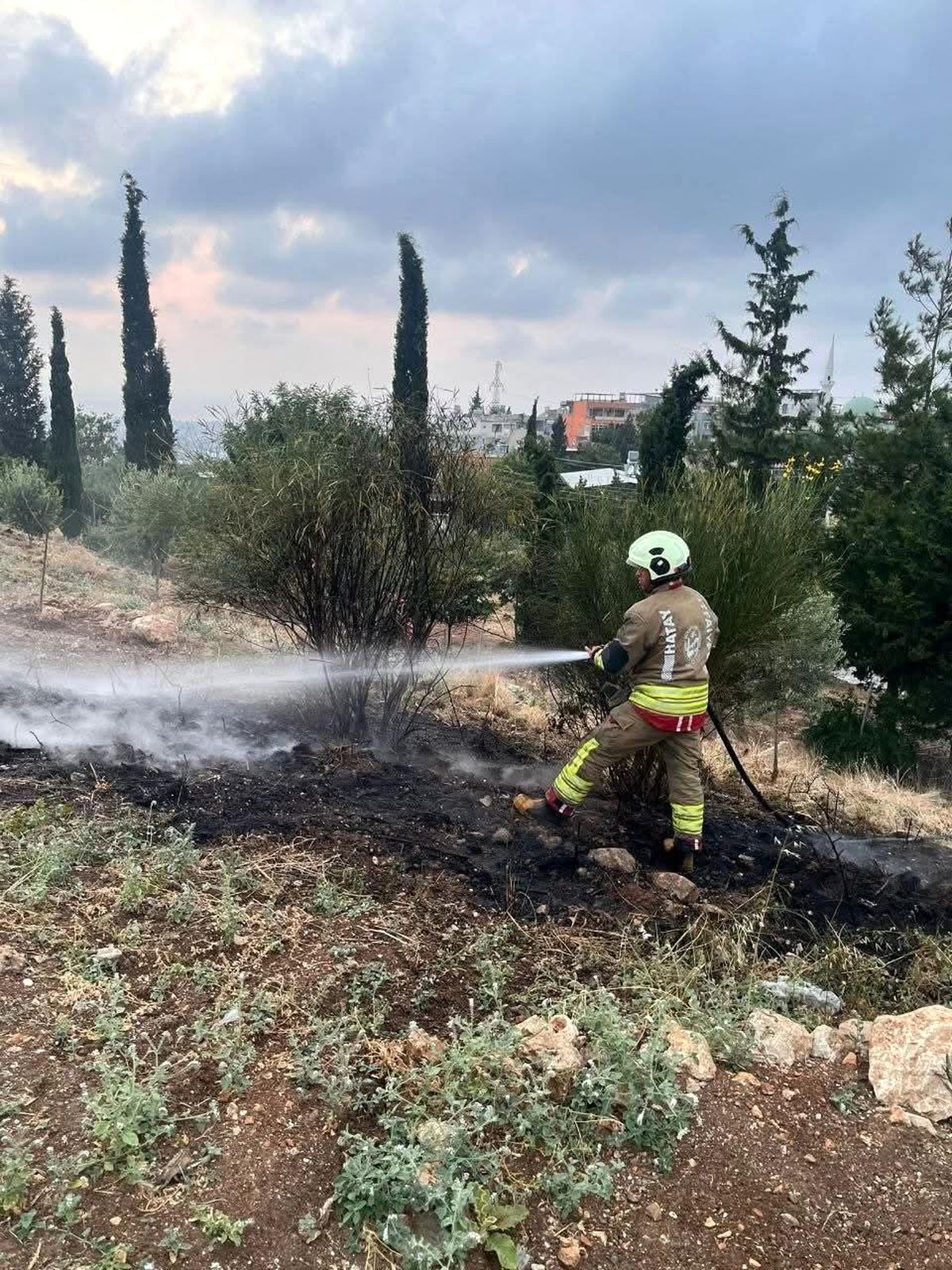 İskenderun'da otluk alan yangını