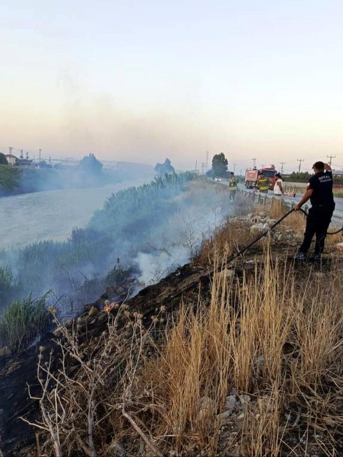 Antakya'da Asi Nehri kenarında sazlık yangını