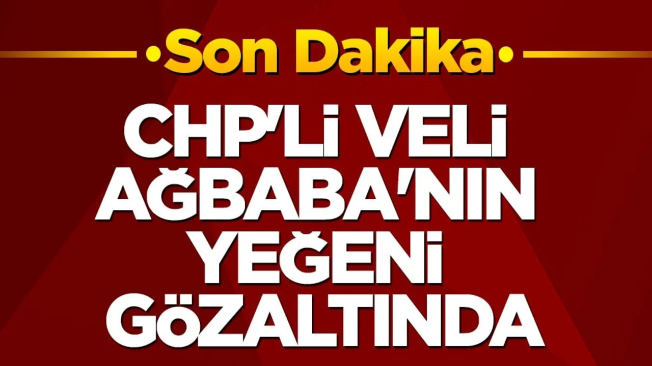 CHP'li Veli Ağbaba'nın yeğeni gözaltında