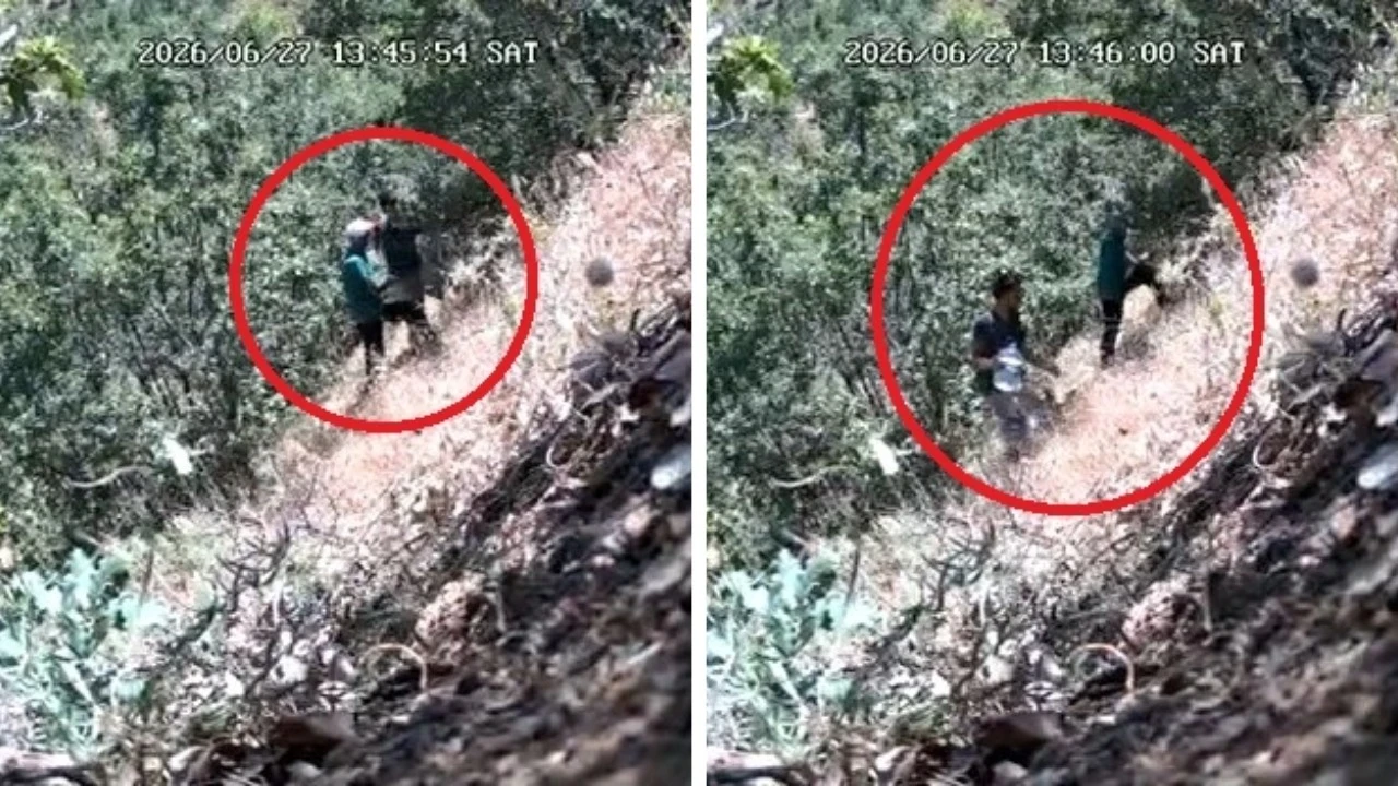 CHP ilçe başkanı ve oğlu kenevir bakımı yaparken yakalandı