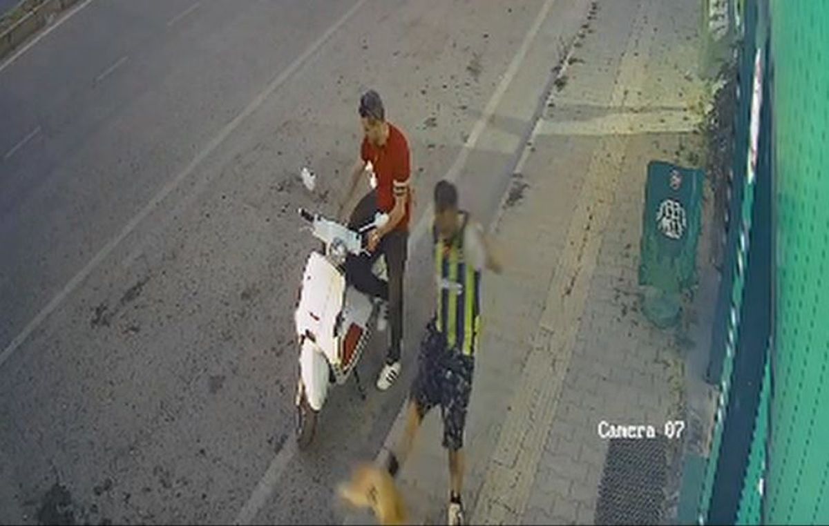 Kediye tekme atan şüpheli yakalandı
