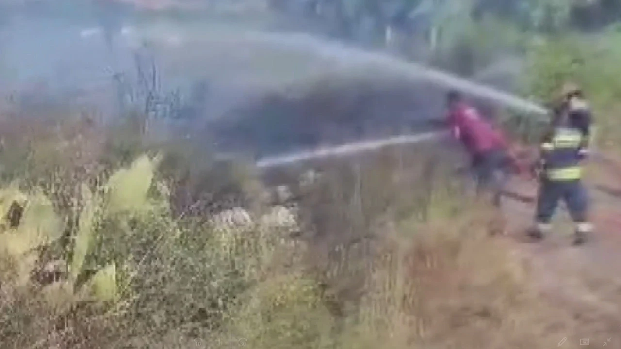 Datça'yı ayağa kaldıran yangın: Helikopter ve arazözler devreye girdi