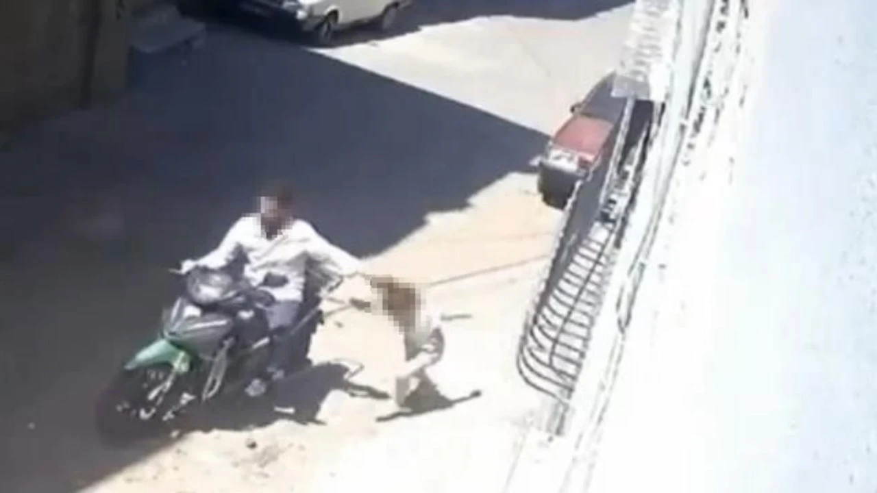 Cani baba, suç makinesi çıktı