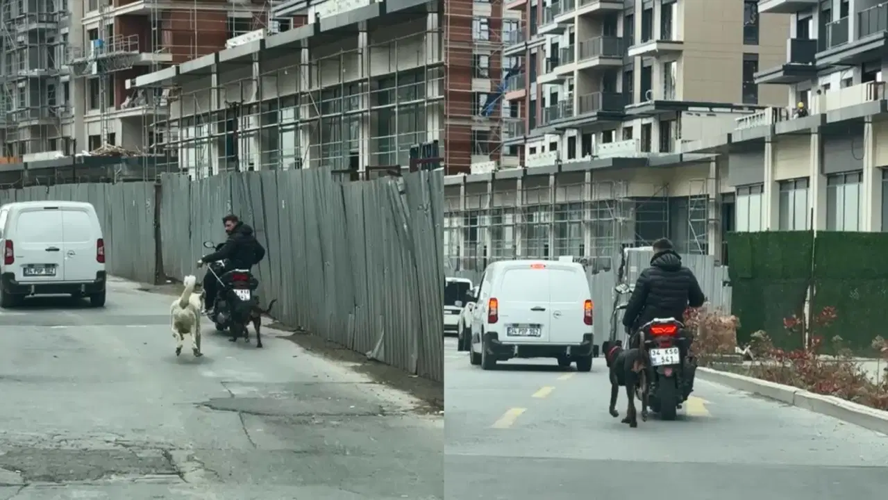 İstanbul'da korkunç görüntüler... Motosiklete bağladığı köpeği metrelerce koşturdu