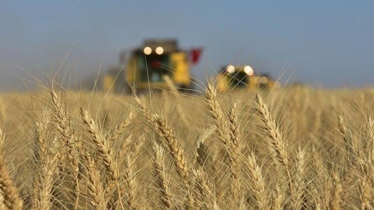 Son Dakika | Toprak Mahsulleri Ofisi'nin ürün paralarını ödeme tarihi açıklandı