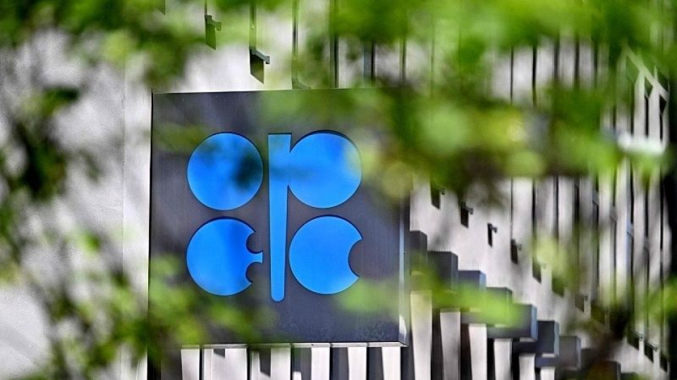 OPEC, küresel enerji tüketiminin 2050'de yüzde 23 artmasını bekliyor