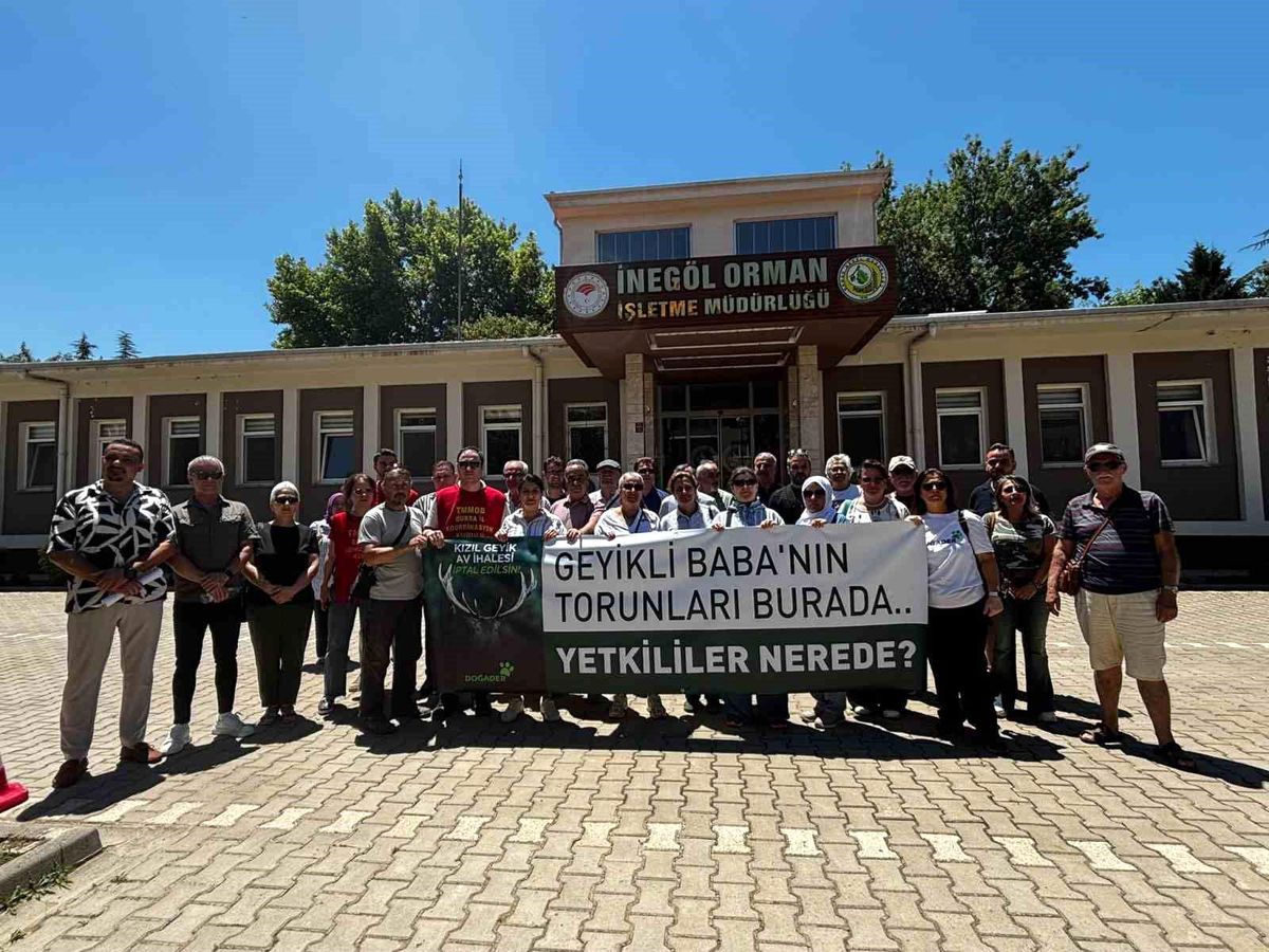 İnegöl'de DOĞADER'den kızıl geyik ihalesine tepki: "Katliam kararı geri çekilsin"