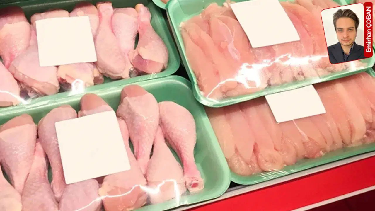 Kayyım beyaz et piyasasına sıçradı: ‘Mülkiyet hakkına doğrudan müdahale ediyor’