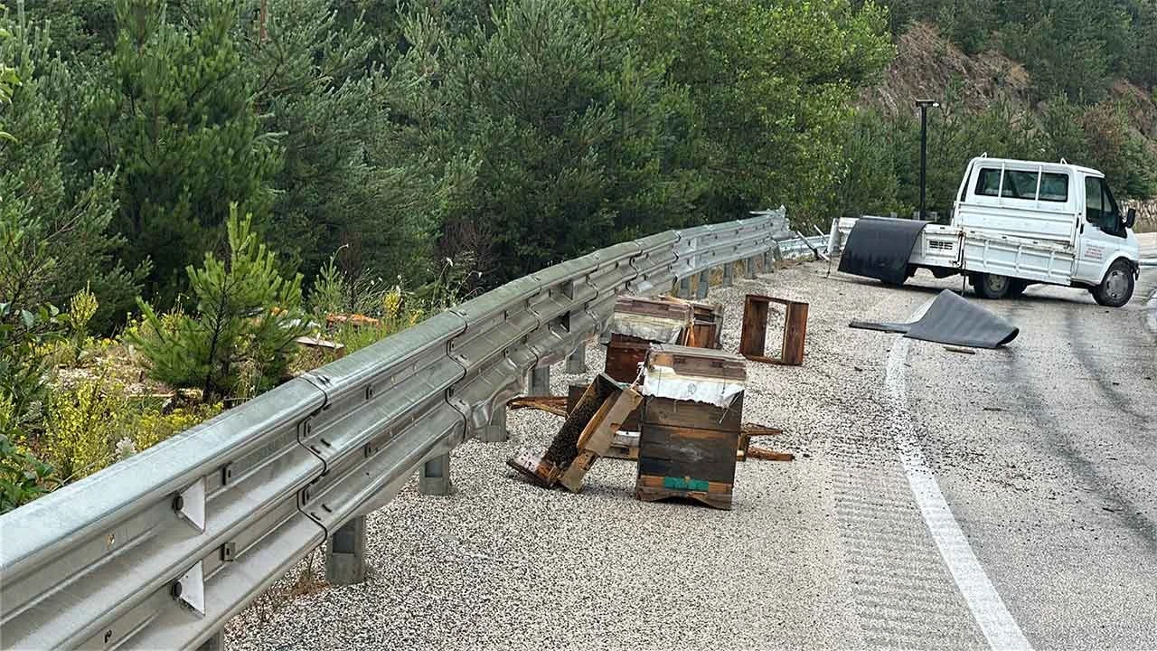 Arı kovanı yüklü kamyonet bariyerlere saplandı! Yollar felç oldu binlerce arı telef oldu!