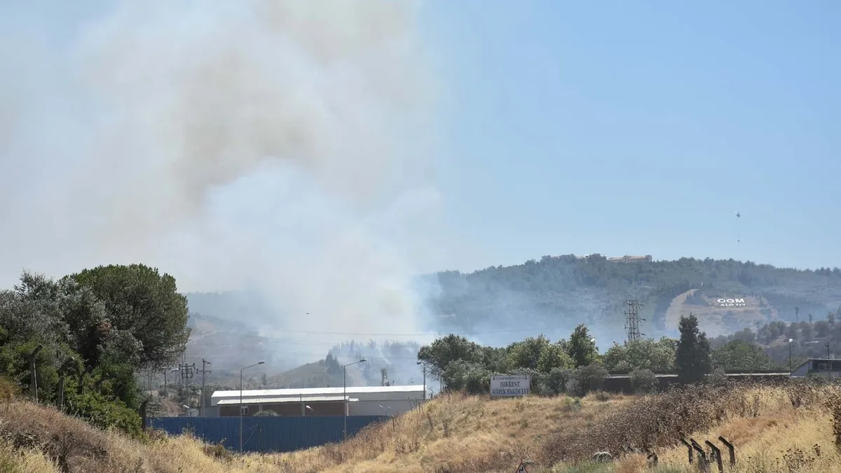İzmir'de yangın paniği: Otluk alanda çıktı ormana sıçradı!
