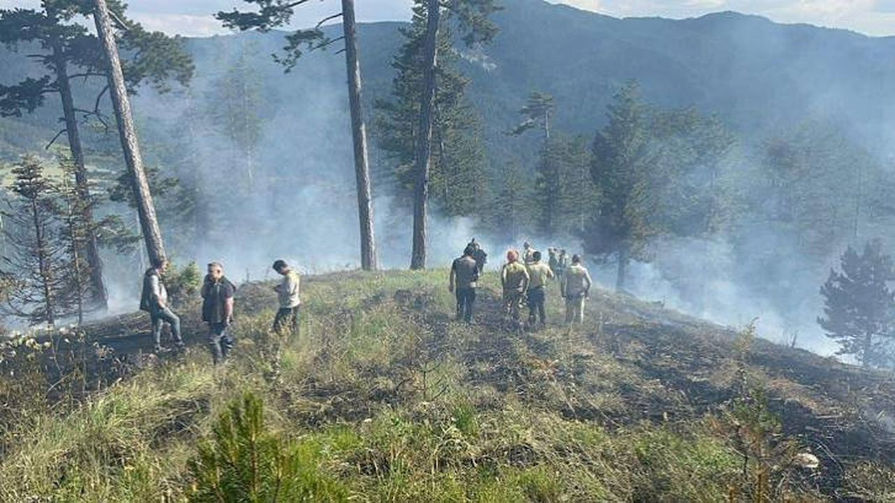 Kastamonu Tosya'da orman yangını
