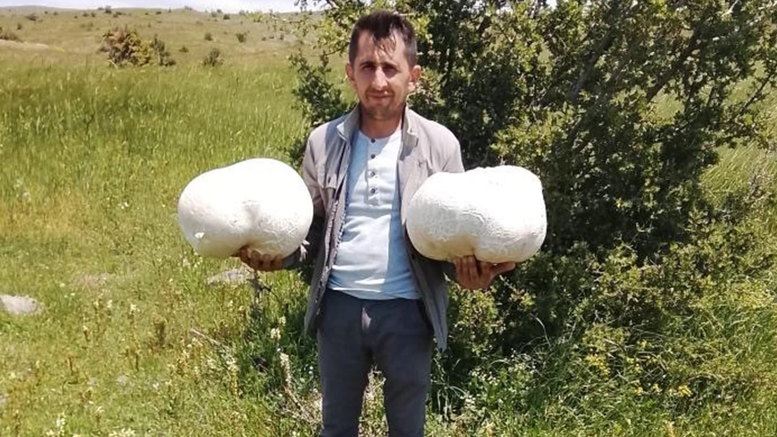 Doğada 20 kiloluk mantar buldu