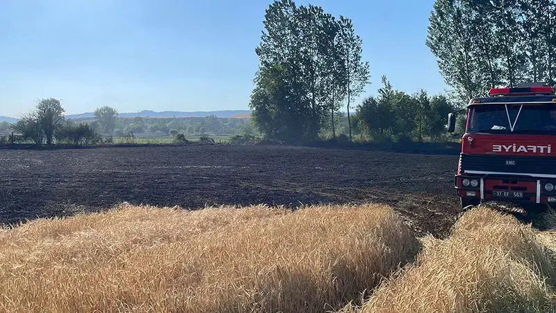 Kastamonu'da buğday ekili tarlada yangın