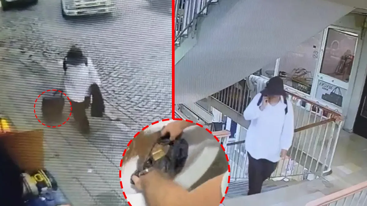 Fatih’te akılalmaz hırsızlık! Milyonlarca liralık vurgunu 10 dakikada yaptılar: Bavul dolusu altını böyle çaldılar!