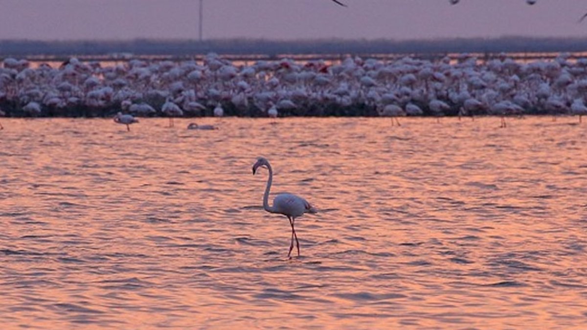 İzmir’in yanı başındaki saklı cennet