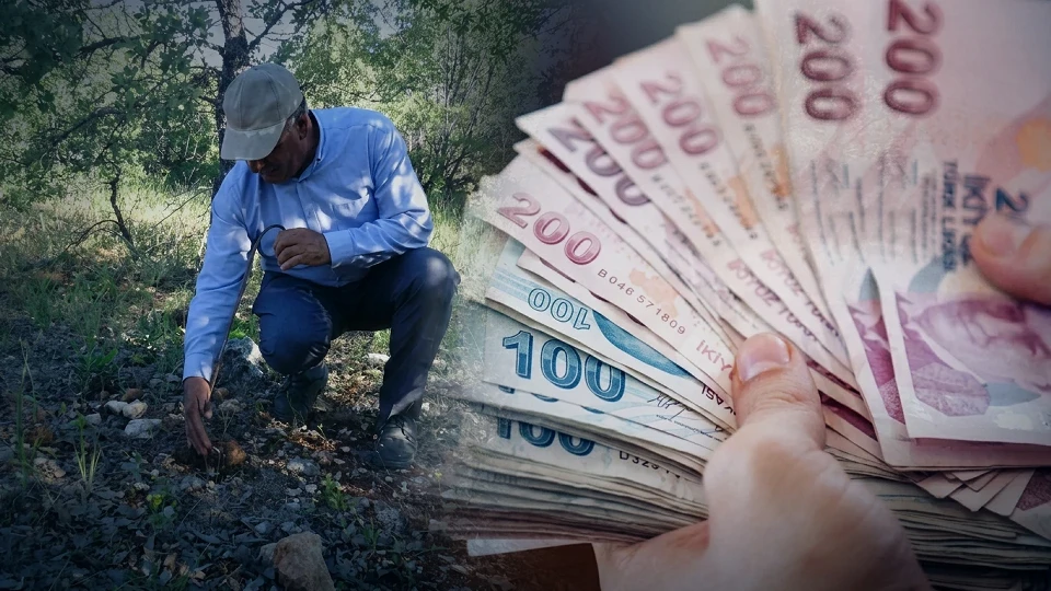 Meşe mantarı fiyatı yükseldi: Malatya'da kilosu 1000 TL'ye ulaştı | EKONOMİ HABERLERİ