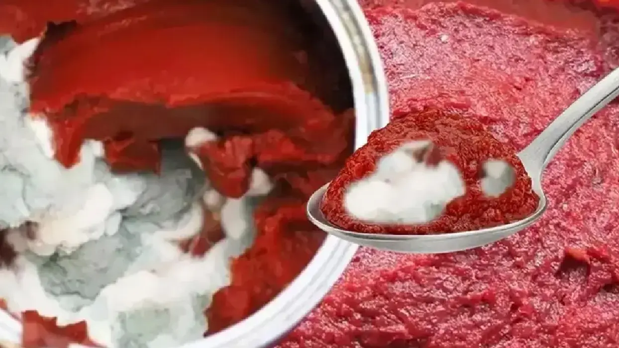 Erken küflenmeye son! Salçayı böyle saklayın...