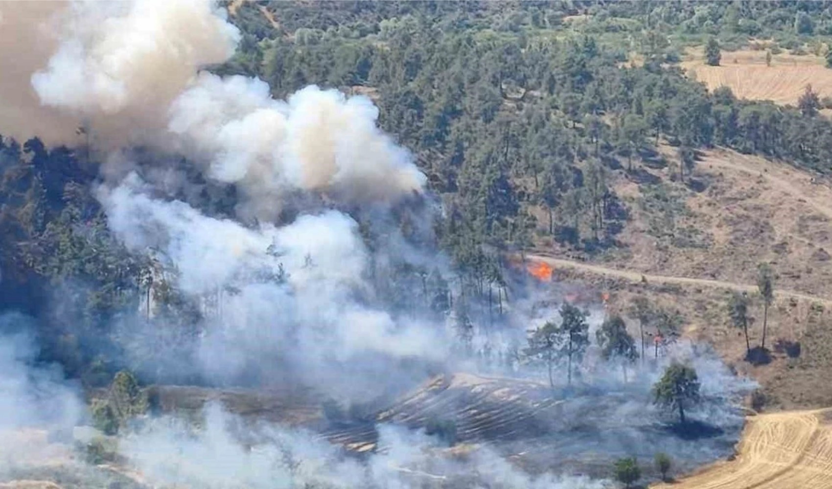 Marmara'da alarm: Bursa'da başlayan orman yangını Balıkesir'e sıçradı
