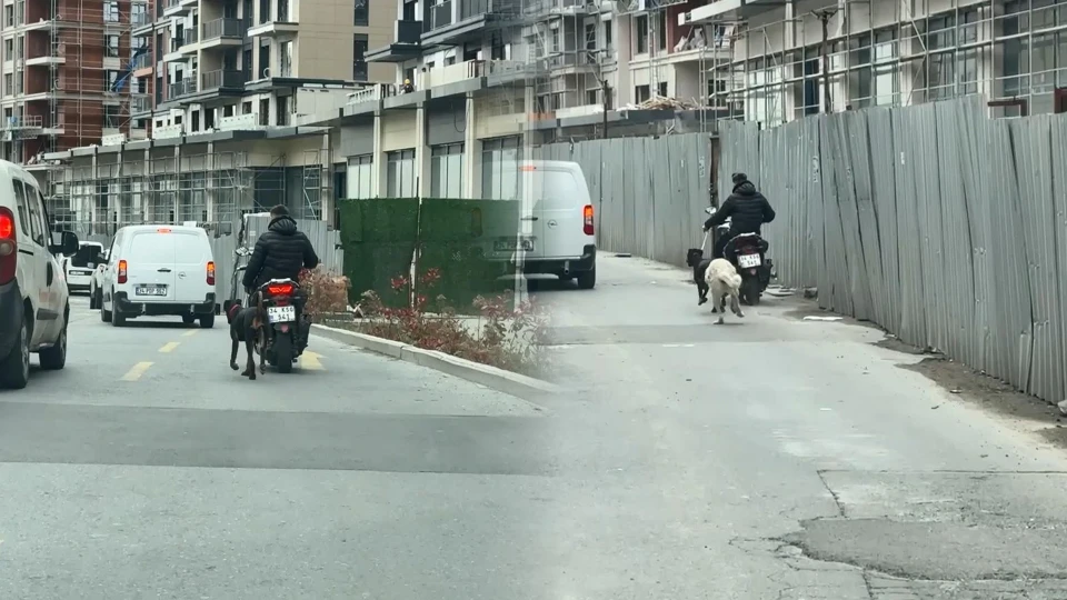 Kağıthane Seyrantepe'de köpeğini motosikletle koşturan sürücüye para cezası | YEREL HABERLER