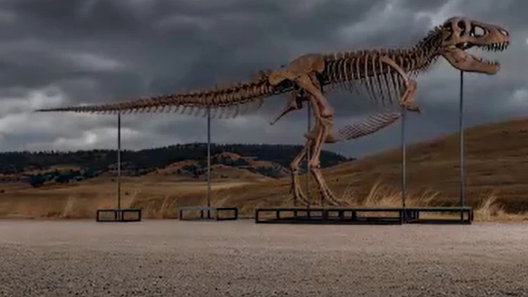 ABD'deki açık artırmada dinozor iskeletine rekor fiyat