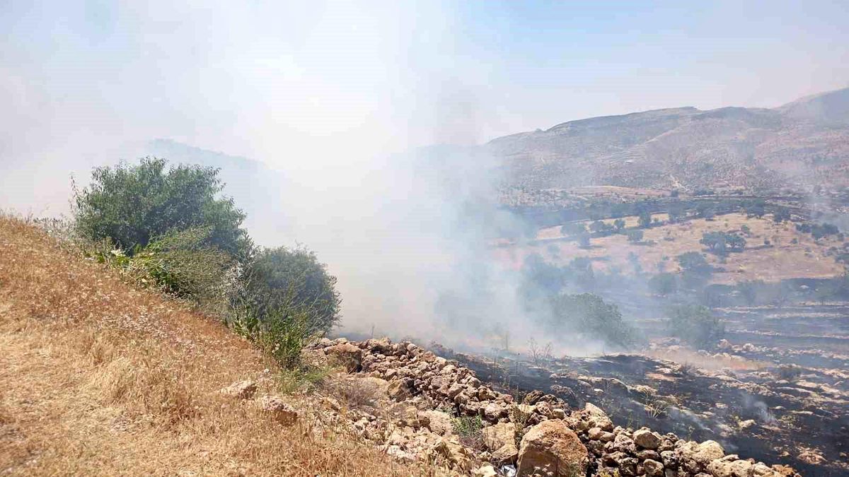 Mardin'de ormanlık alanda çıkan yangına müdahale ediliyor