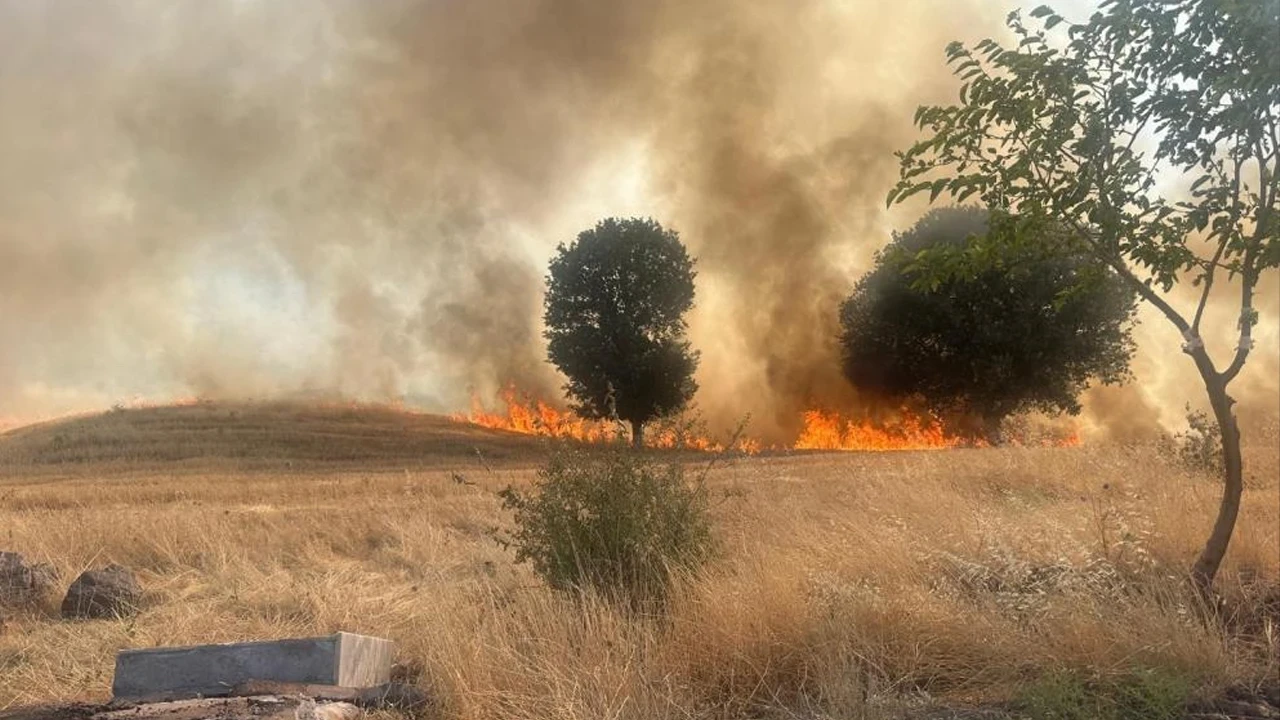 Adıyaman Gölbaşı’nda trafo patlaması yangın çıkardı: 1 hektarlık ağaçlık alan yandı