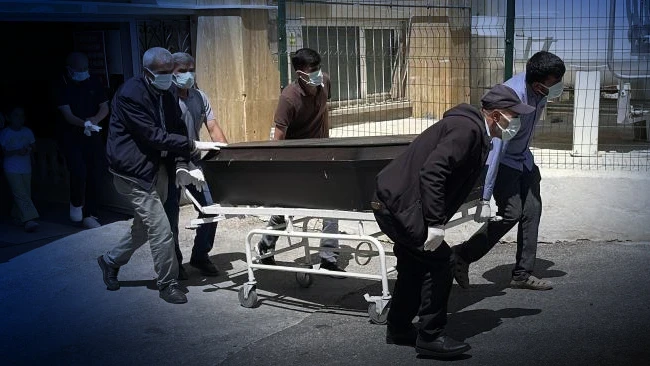 Kentte kene alarmı: Ölenlerin sayısı 7'ye yükseldi