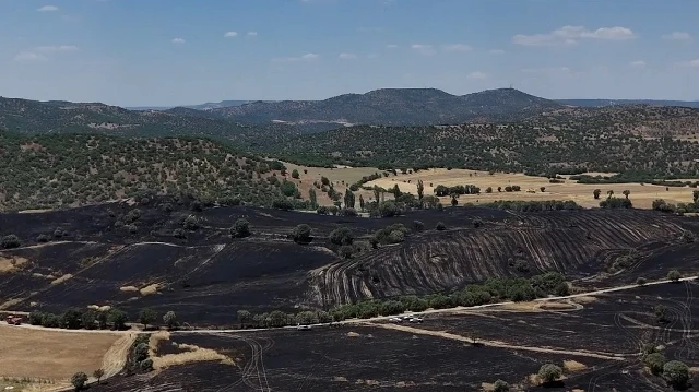Uşak'ta çıkan yangında 300 dekar ekili alan zarar gördü