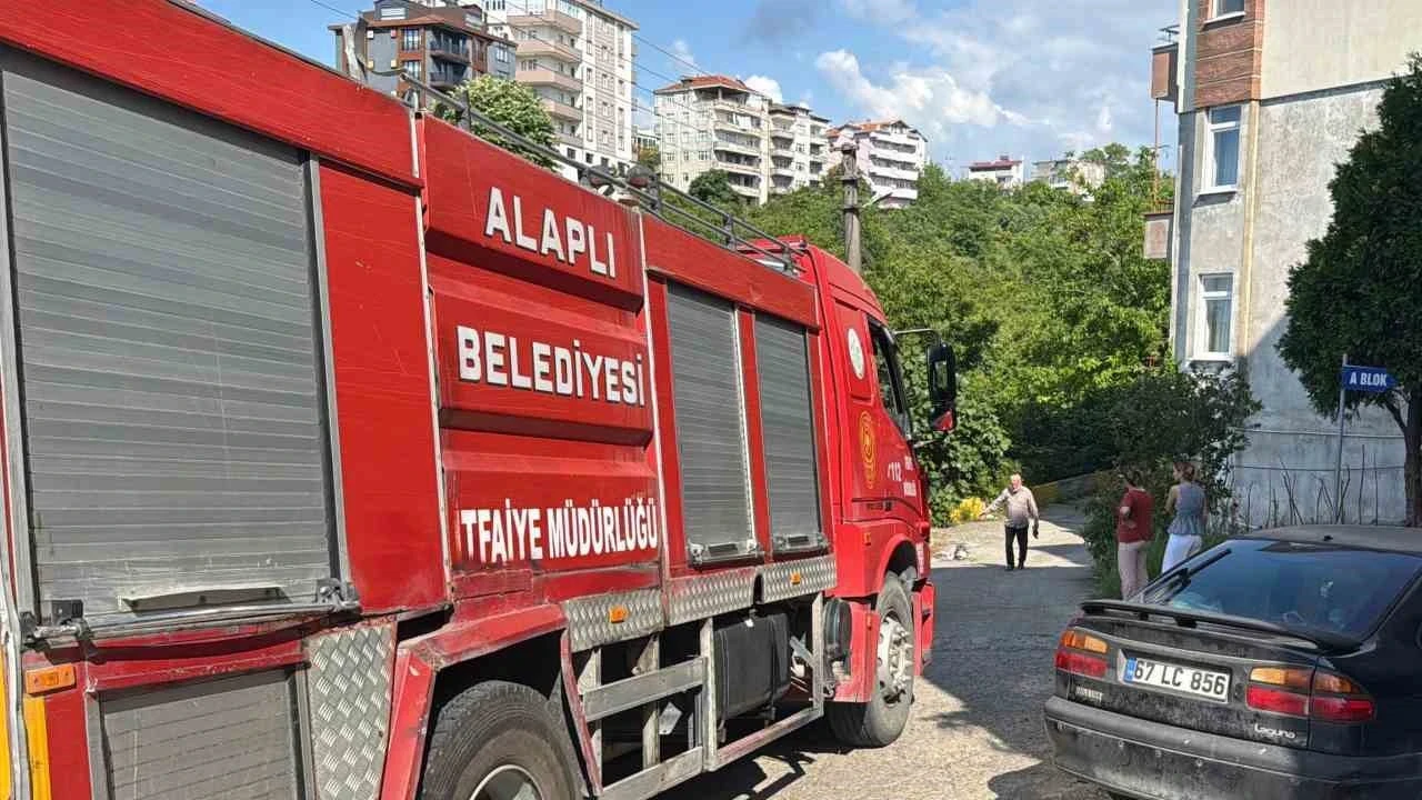 Alev topuna dönen piknik tüpü korkuttu