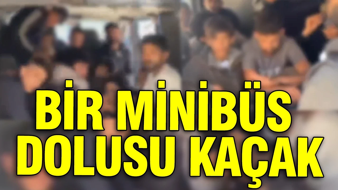 Bir minibüs dolusu kaçak
