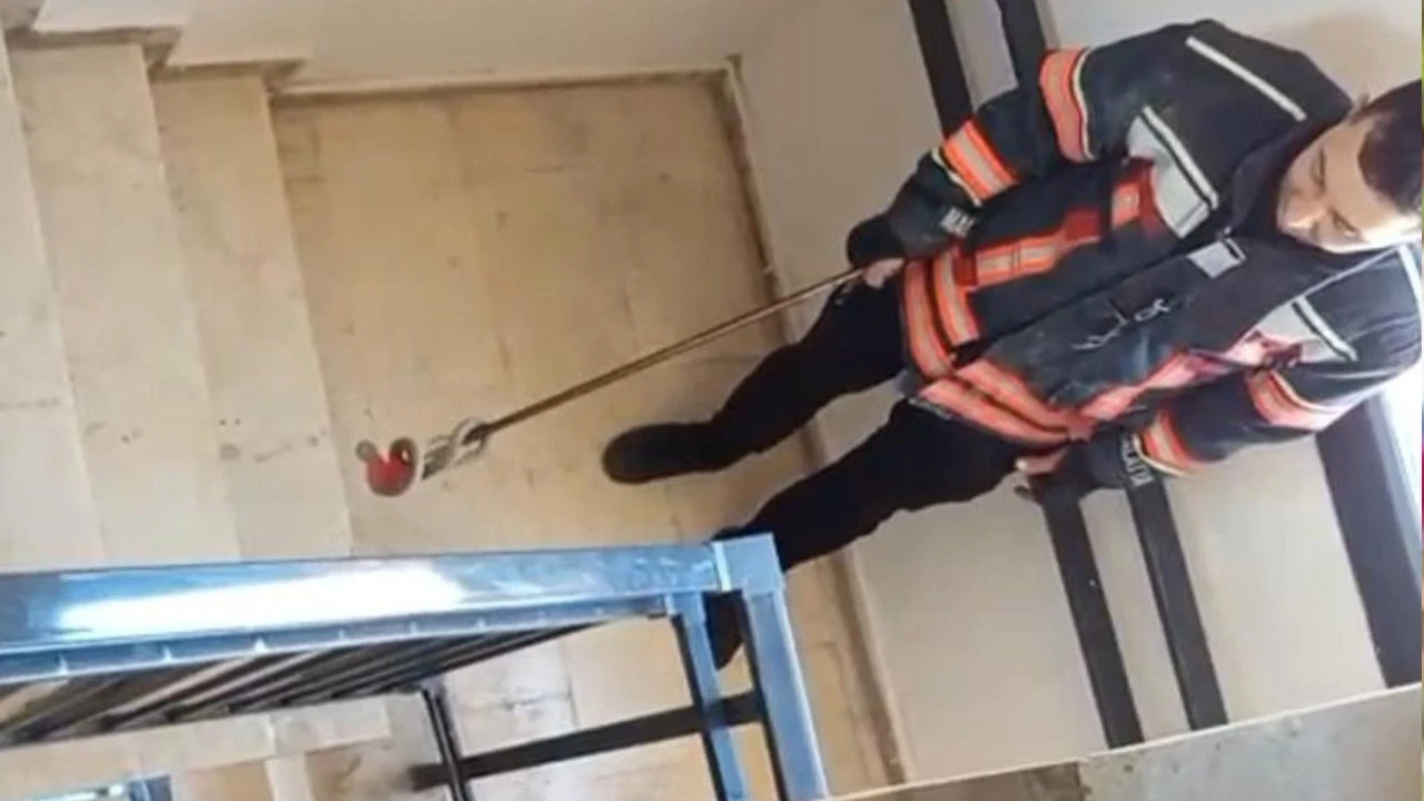 Malatya'da apartmandan çıkarıldı! Tam 1 metre uzunluğundaydı