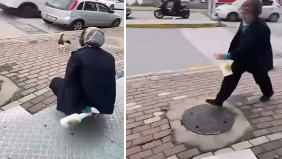 Kediye yağ çözücü sıktığı görüntüler gündem olmuştu! Market çalışanının davasında karar