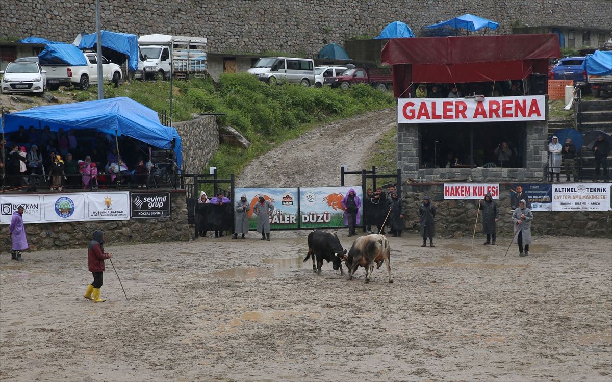 Rize'de "30. Çamlıhemşin Ayder Kültür, Sanat ve Doğa Festivali" başladı