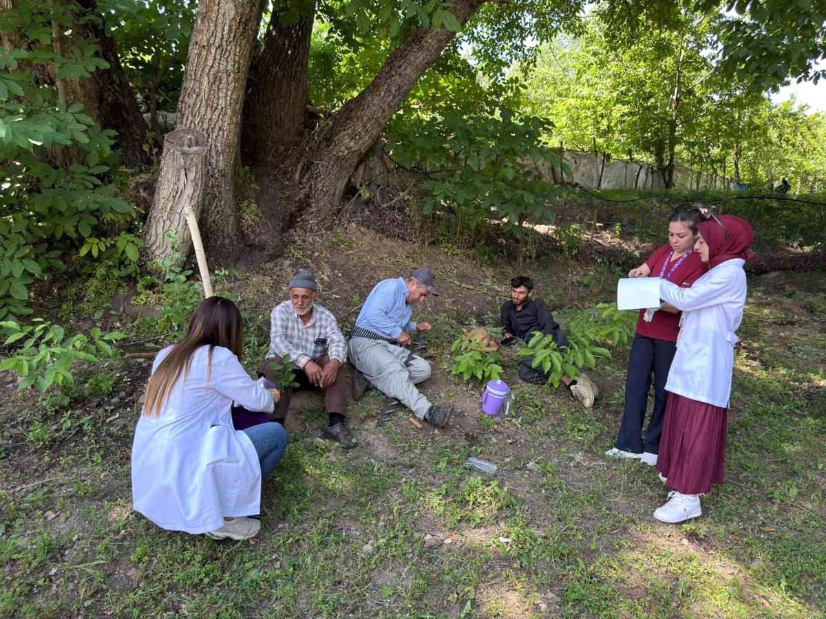 Hakkari'de kanser taraması