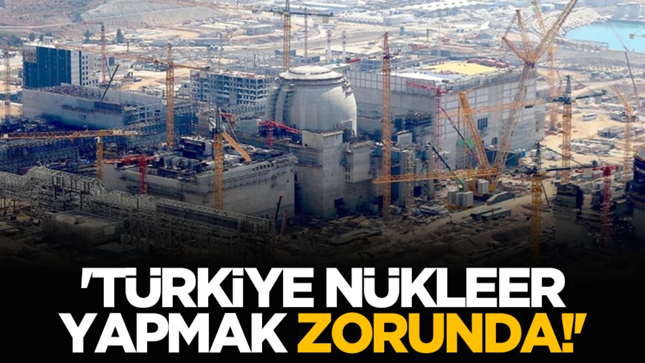 'Türkiye nükleer yapmak zorunda!'
